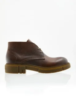 Sneaky Steve Place Cognac